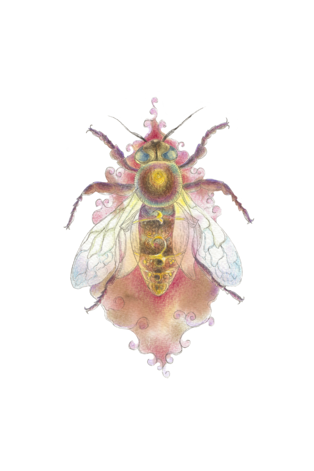 Humblebee T-shirt