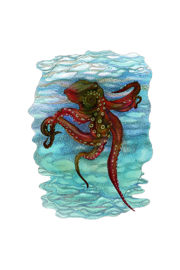 Tako Back T-shirt