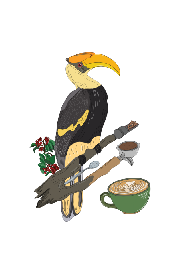 Hornbill Brown