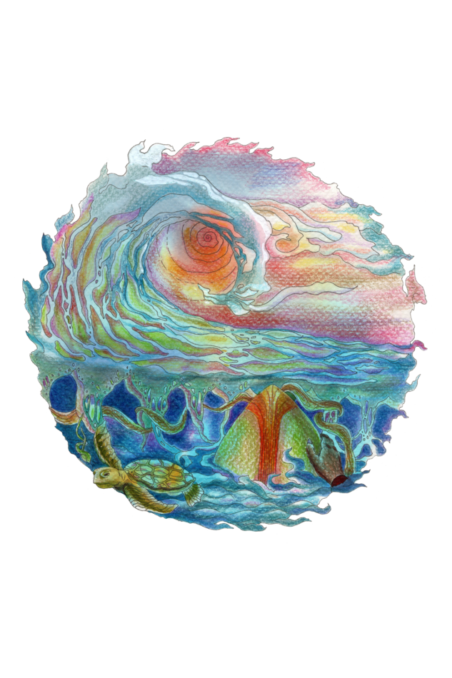 Sunset Surf Women's T-shirt